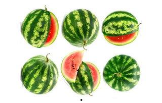 娱乐吃瓜固定模版如何做,揭秘明星幕后故事，带你领略明星们的真实生活